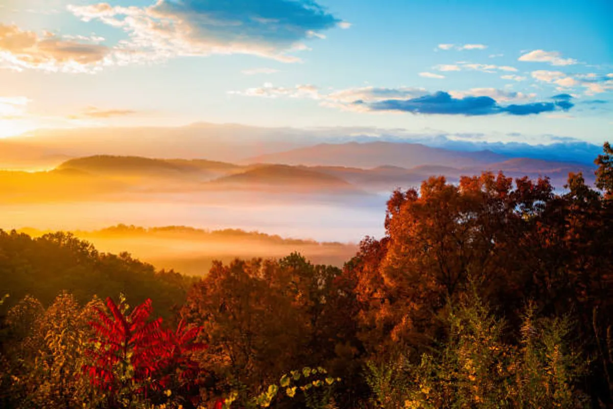 A stunning view of a mountain range with a foggy valley, vibrant foliage, and a dramatic sunset sky. The landscape is serene and inviting, capturing the beauty and tranquility of the Smoky Mountains at dusk.